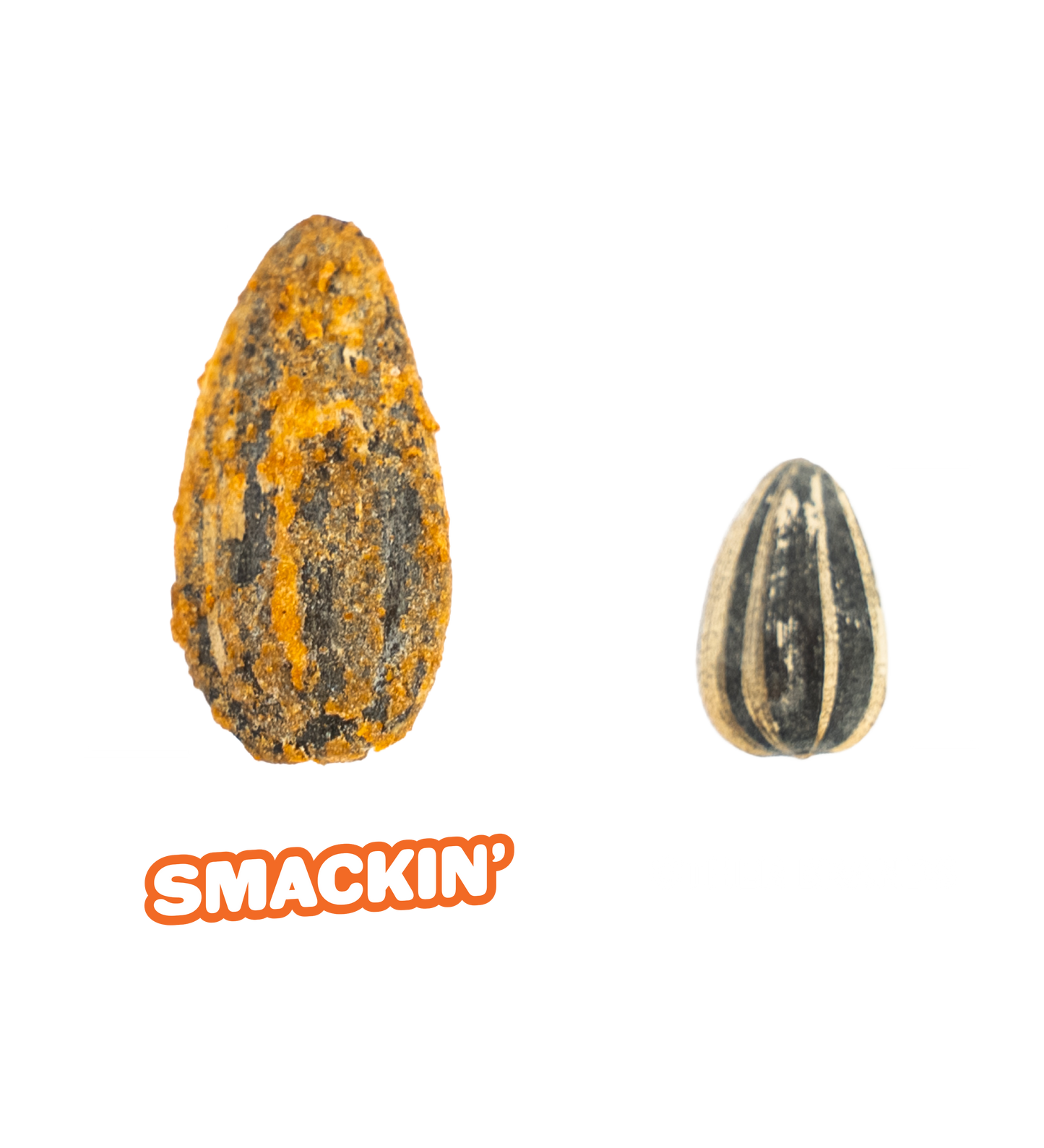 SAMPLER PACK + 2 BAGS OF CHILI LIME